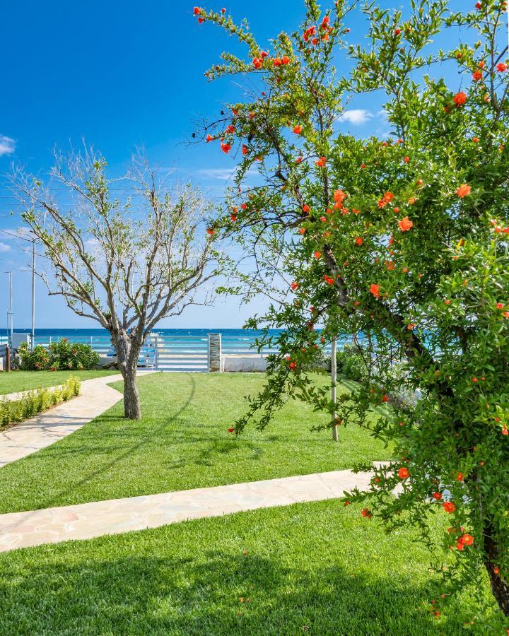 Case de vacanță Azzurro Seafront